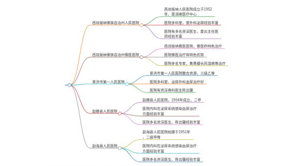 2025年云南西双版纳治疗血尿的医院有哪些