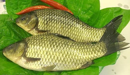六大健脾祛湿最佳食物，值得收藏