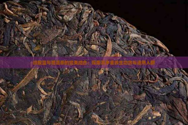 绞股蓝与普洱茶的完美结合：探索其多重养生功效与适用人群