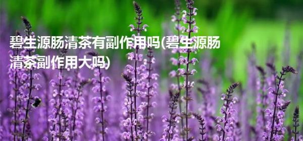 碧生源腸清茶有副作用嗎(碧生源腸清茶副作用大嗎)