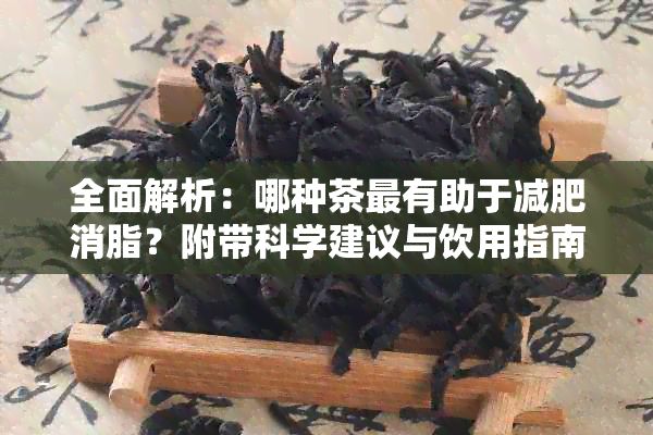 全面解析：哪種茶最有助于減肥消脂？附帶科學建議與飲用指南