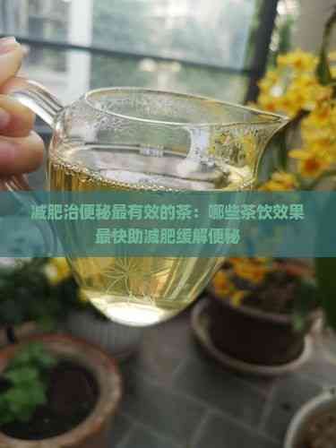 減肥治便秘最有效的茶：哪些茶飲效果最快助減肥緩解便秘