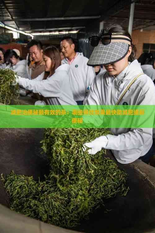 減肥治便秘最有效的茶：哪些茶飲效果最快助減肥緩解便秘