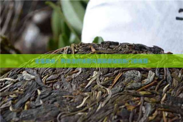 全面解析：有效治療減肥與緩解便秘的熱門茶推薦