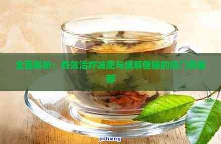 全面解析：有效治療減肥與緩解便秘的熱門茶推薦