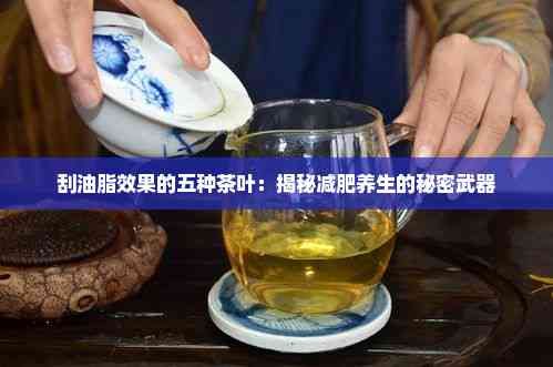 刮油脂效果的五種茶葉：揭秘減肥養(yǎng)生的秘密武器