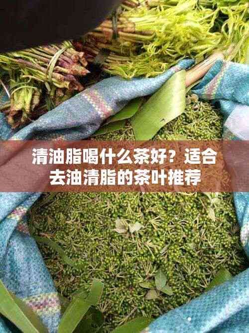 清油脂喝什么茶好？適合去油清脂的茶葉推薦
