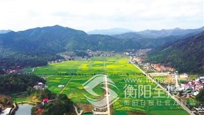 點(diǎn)擊查看原圖