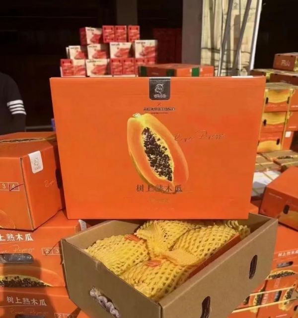 木瓜到底含糖量高吗？（揭秘木瓜的真实含糖量及对健康的影响）