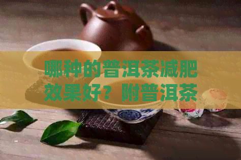 哪种的普洱茶减肥效果好？附普洱茶选购与饮用指南
