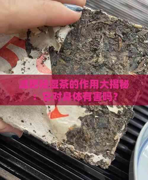 减肥祛湿茶的作用大揭秘：它对身体有害吗？