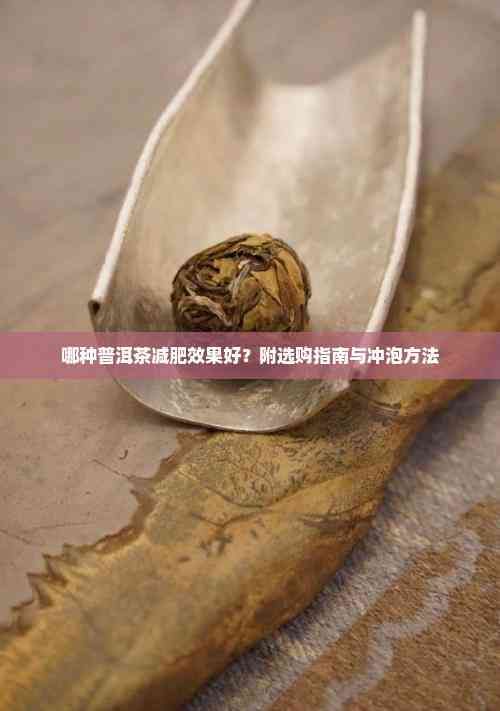哪种普洱茶减肥效果好？附选购指南与冲泡方法