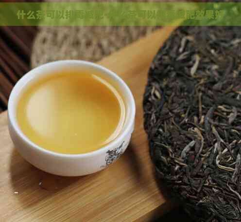 什么茶可以排减肥-什么茶可以排减肥效果好