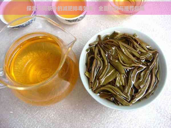 探索不同茶叶的减肥排效果：全面比较与推荐指南