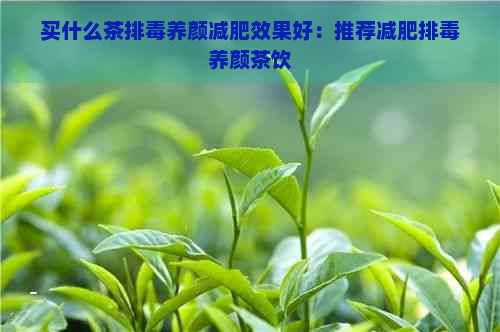 买什么茶排养颜减肥效果好：推荐减肥排养颜茶饮