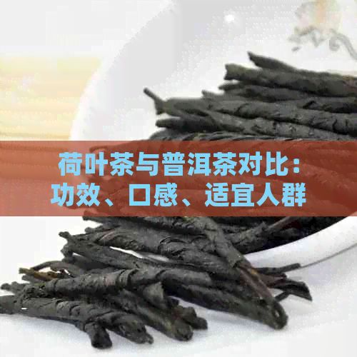 荷叶茶与普洱茶对比：功效、口感、适宜人群及选购指南