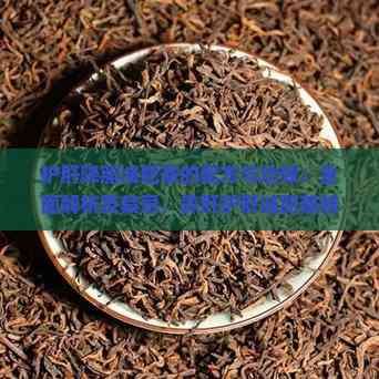 護(hù)肝降脂減肥茶的配方與功效：全面解析及禁忌，養(yǎng)肝護(hù)肝減肥茶特點(diǎn)一覽