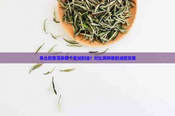 單叢和普洱茶哪個更加刮油？對比兩種茶的減肥效果