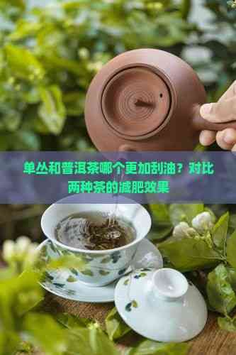 單叢和普洱茶哪個更加刮油？對比兩種茶的減肥效果
