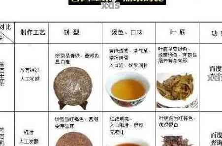 探索普洱茶瘦身秘：哪種普洱茶成分更有效？