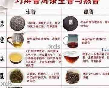 探索普洱茶瘦身秘：哪種普洱茶成分更有效？