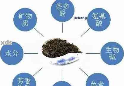 探索普洱茶瘦身秘：哪種普洱茶成分更有效？