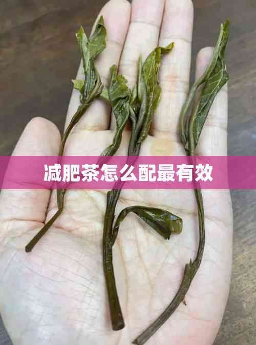 減肥茶怎么配最有效
