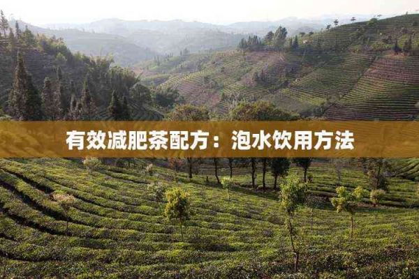 有效減肥茶配方：泡水飲用方法