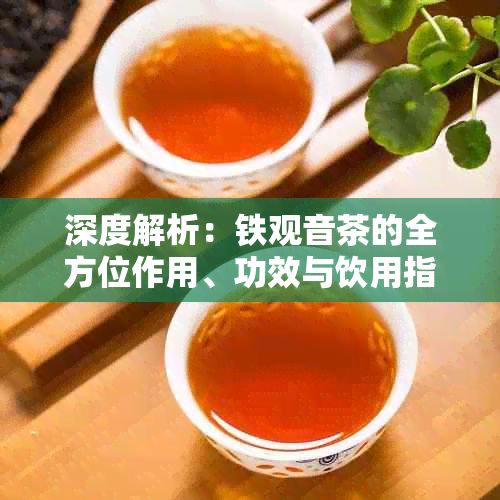 深度解析：铁观音茶的全方位作用、功效与饮用指南