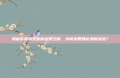 揭秘苦瓜鐵觀音的淡雅之謎，為何茶香如此清新淡泊？