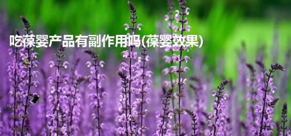 吃葆婴产品有副作用吗(葆婴效果)