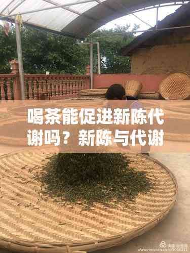 喝茶能促进新陈代谢吗?新陈与代谢的奥秘
