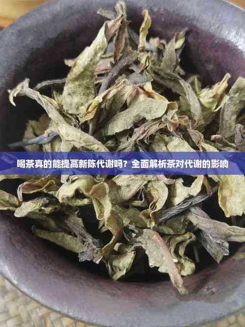 喝茶真的能提高新陈代谢吗?全面解析茶对代谢的影响
