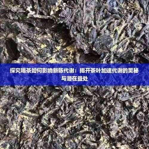 探究喝茶如何影响新陈代谢:揭开茶叶加速代谢的奥秘与潜在益处