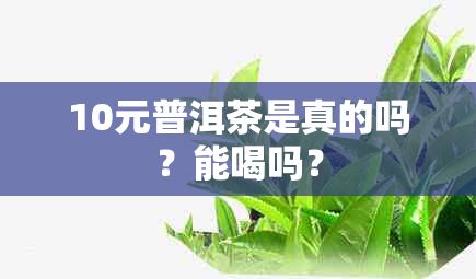 10元普洱茶是真的嗎？能喝嗎？
