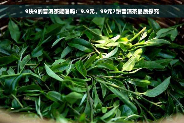 9塊9的普洱茶能喝嗎：9.9元、99元7餅普洱茶品質(zhì)探究