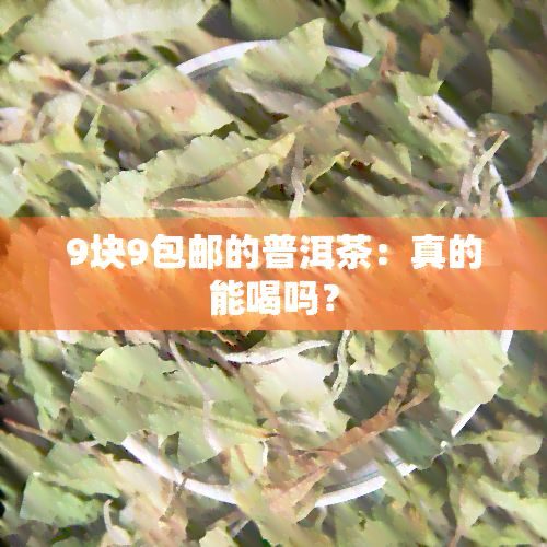 9塊9包郵的普洱茶：真的能喝嗎？