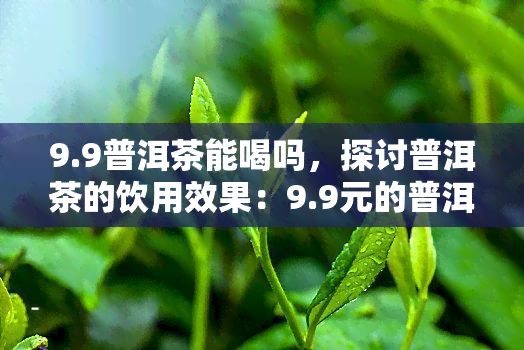 9.9普洱茶能喝嗎，探討普洱茶的飲用效果：9.9元的普洱茶是否值得嘗試？