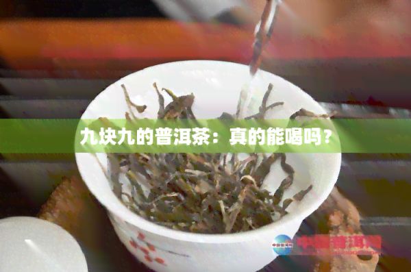 九塊九的普洱茶：真的能喝嗎？