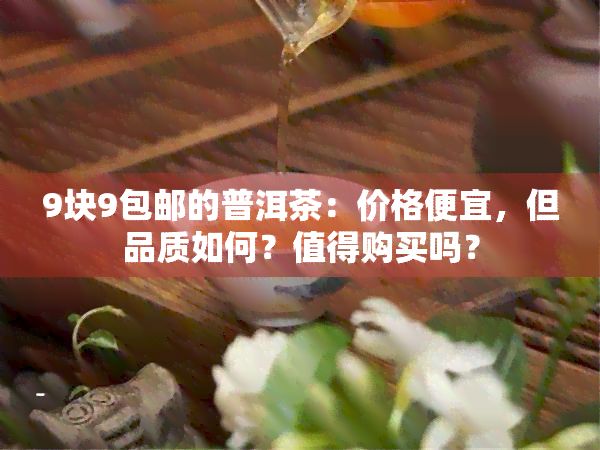 9塊9包郵的普洱茶：價(jià)格便宜，但品質(zhì)如何？值得購(gòu)買(mǎi)嗎？
