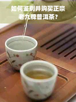 如何鑒別并購買正宗老九牌普洱茶？