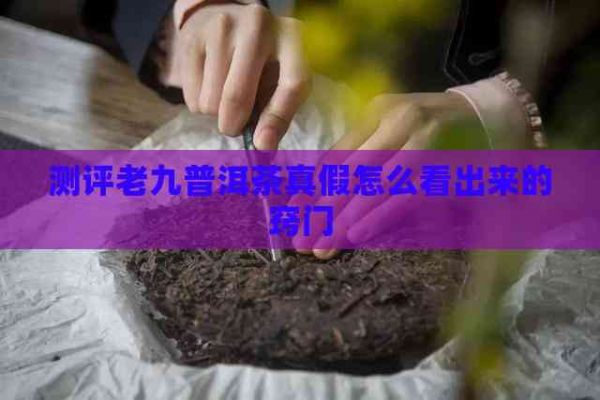 測評老九普洱茶真假怎么看出來的竅門