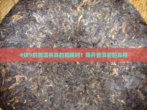 9塊9的普洱茶真的能喝嗎？揭開普洱茶的真相