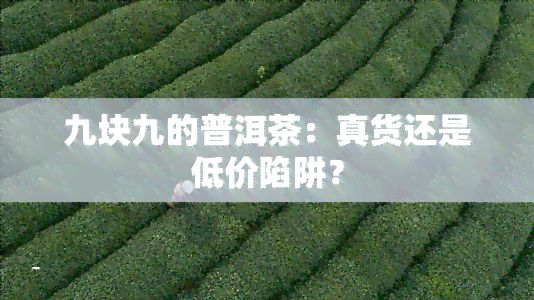 九塊九的普洱茶：真貨還是低價陷阱？
