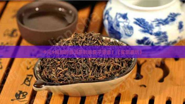 9元9包郵普洱茶試喝
