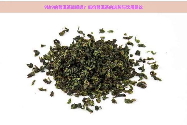 9塊9的普洱茶能喝嗎？低價普洱茶的選購與飲用建議