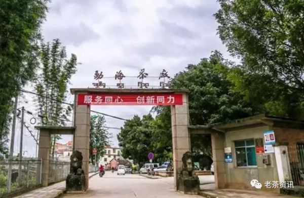 老茶鑒定 | 假貨橫行，92方磚真假如何辨別?