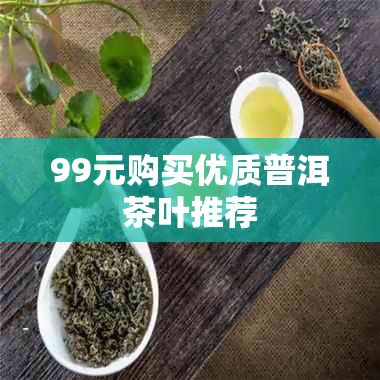 99元購買優(yōu)質(zhì)普洱茶葉推薦