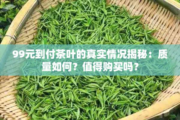 99元到付茶葉的真實(shí)情況揭秘：質(zhì)量如何？值得購買嗎？