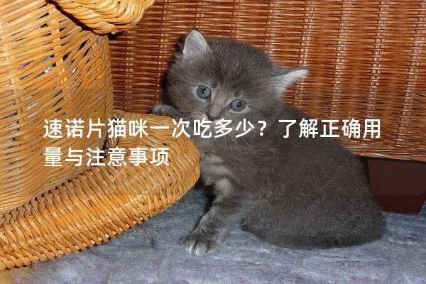 速諾片貓咪一次吃多少？了解正確用量與注意事項(xiàng)